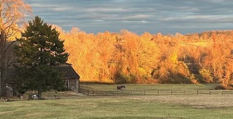 Picture of the farm over looking the horse pasture the with an Alpen glow on the trees in fall.