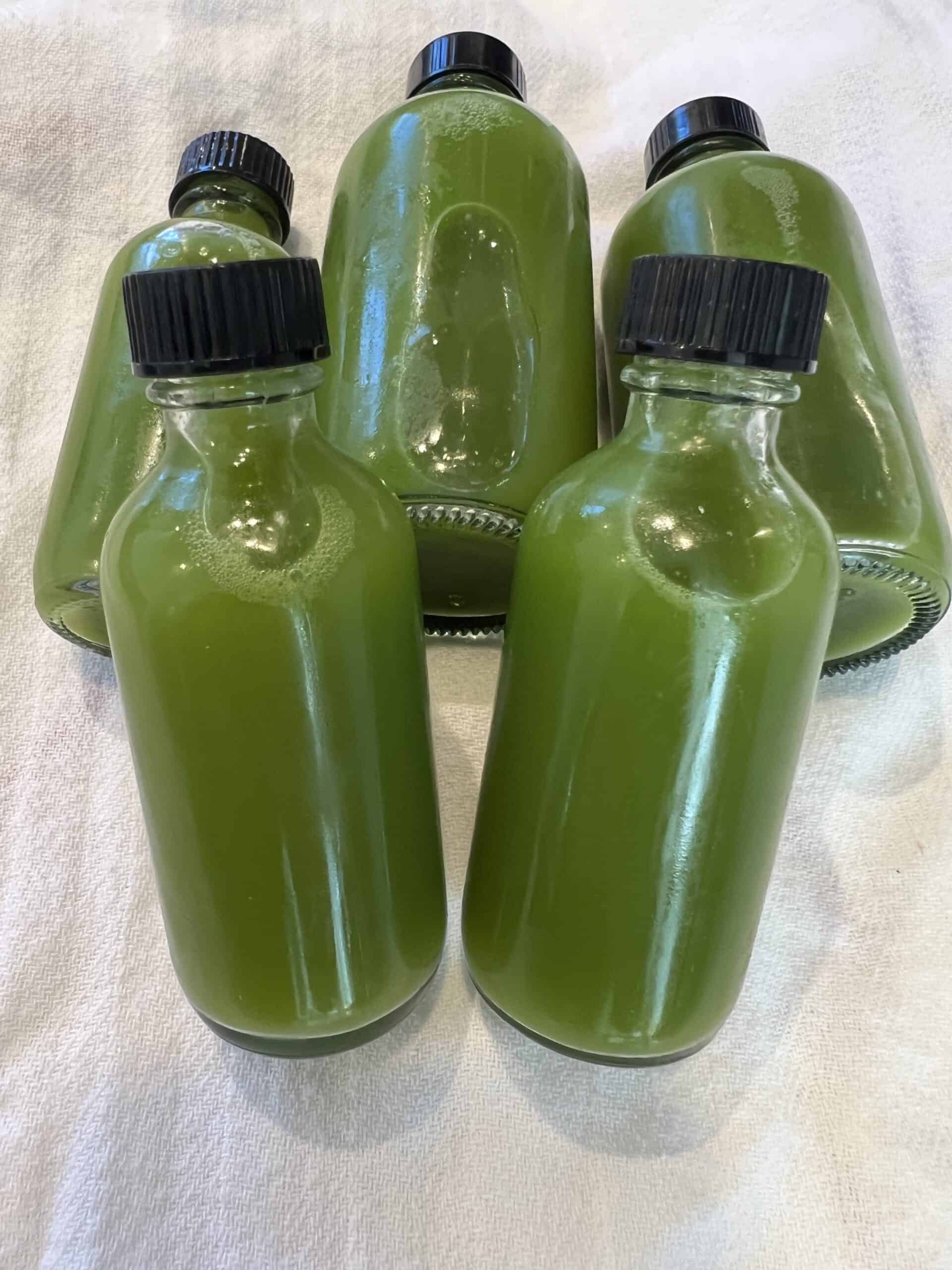 Picture of green juice wellness shot bottles.